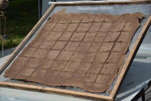 Trocknung von Kuhdung für Agnihotra