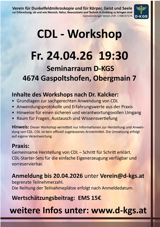 Workshop CDL Anwendung Wirkung und Erzeugung